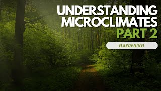 Understanding Microclimates In Your Garden PART 2 [upl. by Drawets]