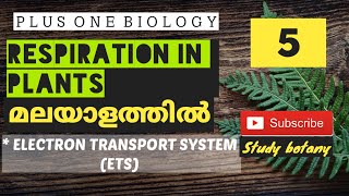 Electron Transport System ETSRESPIRATION IN PLANT PLUS ONE BIOLOGY MALAYALATHIL CHAPTER14 NCERT [upl. by Condon224]