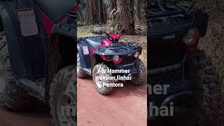 atv hammer mikilonlinhai yamahapentora mikilon 250cc shortvideo atv [upl. by Shela994]