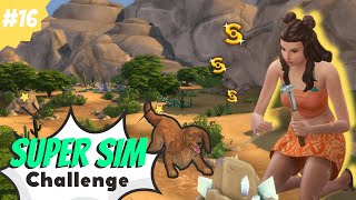 Cash Collectables and Malcolm has a pet 🐎  Sims 4 Super Sim Challenge part 16 [upl. by Gelasius]