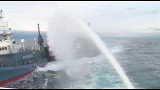 Violent extremists Sea Shepherd ram into whalers [upl. by Avert401]