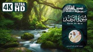 سورة الرعد للقارئ الشيخ ياسر الدوسري Surat ArRad Yasser AlDosari Nature Relaxation 4K UHD [upl. by Karolina]