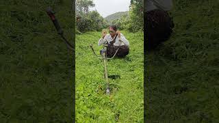 watch steel end Grass cutter शेतीमळा shortvideo youtubeshorts shorts [upl. by Karna]