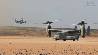 Improving Combat Skills US Marine VMM Squadron Holds Unit Training in Djibouti [upl. by Adall]