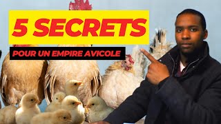 quot🚨URGENT🚨 5 Secrets Pour Faire de lÉlevage de Volaille en Afrique un Empire Rentablequot [upl. by Silvan318]