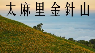 太麻里金針山的小旅行  雲海與夕陽  路線選擇？  4K [upl. by Emolas]