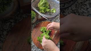 Weightloss Salad recipe shortsvideo youtubeshorts saladrecipes [upl. by Begga170]