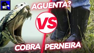 Cuidado PERNEIRA não segura picada de SERPENTE em Testes com Luva Bota Botina e cobras [upl. by Oine290]