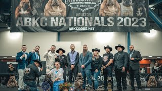 ABKC nationals 2023 live [upl. by Tnelc900]