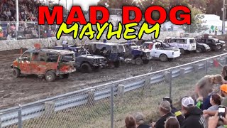 MAD DOG MAYHEM Mighty Minis class [upl. by Euqinay]