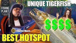 BEST HOTSPOT  UNIQUE TIGERFISH  CONGO RIVER  HUGE XP MONEY MAKER  200K A DAY  Fishing Planet [upl. by Marley]