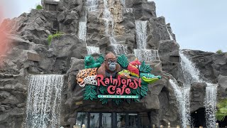 Braving the ride at Rainforest Cafe  viewing their gift shop  Galveston TX [upl. by Prakash]