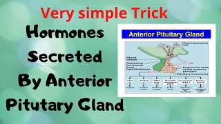 Hormones Secreted From Anterior Pituitary Gland  Short Trick  Mnemonic [upl. by Therese682]