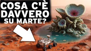 Esiste davvero una VITA ESTRATERRESTRIALE nel nostro Sistema Solare  Spazio DOCUMENTARIO [upl. by Naneek]