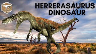 Herrerasaurus Dinosaur [upl. by Mueller]