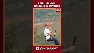 Watch Congress Leader Rahul Gandhi Enjoying Ziplining In Wayanad  India Today [upl. by Notgnilra]