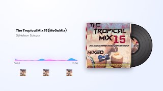 The Tropical Mix 15 MeGaMix  Versión Público  Dj Nelson Salazar [upl. by Anzovin]