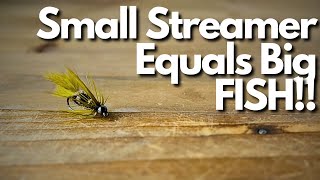 The Smallest Most Effecive Streamer Fly I Have Ever Used [upl. by Merrielle]