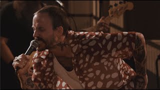 IDLES  Full Performance Live on KEXP at Home [upl. by Aeirdna]