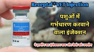 Receptal®VET  Buserelin Acetate Injection in Animals  पशुओं को गाभिन ठहराने वाला इंजेक्शन [upl. by Sabine590]