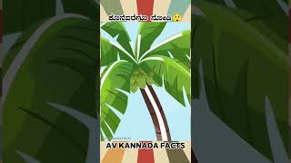 Cocunet Water Facts Video  kannada facts karnataka amezing youtubeshorts trendingshorts [upl. by Kitchen]