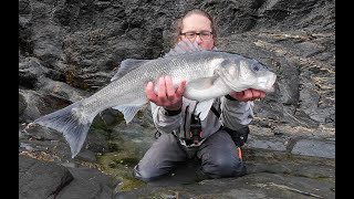 Didnt think Id ever catch a bass this big from the shore in March [upl. by Croteau]