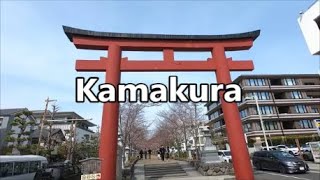 【鎌倉桜漫遊 Explore Japan】Japan Heritage Kamakura Cherry BlossomsSolo Female Travel in Japan [upl. by Bik]