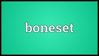 Boneset Meaning [upl. by Ax457]