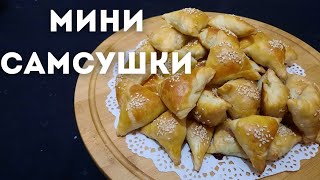 СУПЕР МИНИ САМСЫ ТАКУЮ САМСУ ВЫ ЕЩЕ НЕ ПРОБОВАЛИ [upl. by Nutsud10]