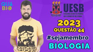 UESB 2023  Questão 44  No Brasil a persistência da sífilis representa um desafio para médicos e [upl. by Aicek]