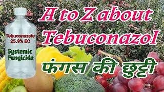 Tebuconazole 259 EC फंगस का सफाया  A to z about Tebuconazol Fungicide  bagwanikibaat [upl. by Randolph]