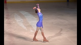 Figure Skating Performance David Garrett ft David Foster  Chopin Nocturne [upl. by Deelaw]