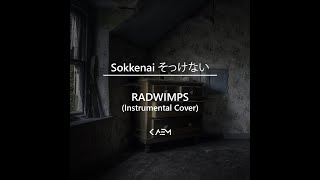 Sokkenai そっけない  RADWIMPS Instrumental Cover [upl. by Kcered]