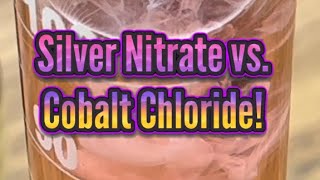 Silver Nitrate vs Cobalt Chloride in RamZland⚗️ CoCI2  2AgN03› CoN032  2AgCI STEM Science [upl. by Livingston]