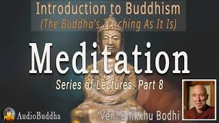 Bhikkhu Bodhi Introduction to Buddhism 8Meditation  Lectures [upl. by Apicella]