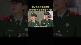 警犬为了救受伤武警，竟然用身体挡住了子弹 [upl. by Seroka647]