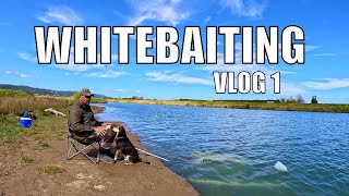 Whitebaiting 1st Trip At The River Beach [upl. by Shae45]