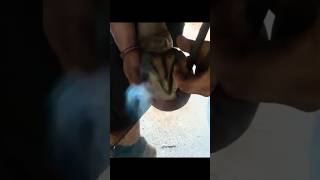 Burning a horseshoe on to a jumping horses’ hoof farrier horse horseshoeing equestrian [upl. by Ardnuhsal818]