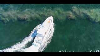 2018 Boston Whaler 60 anniversary 419k [upl. by Adley148]