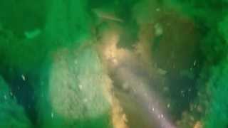 Mv Actuosity 07 07 2013 Great Yarmouth BSAC wreck dive Sea Palling [upl. by Athalee]