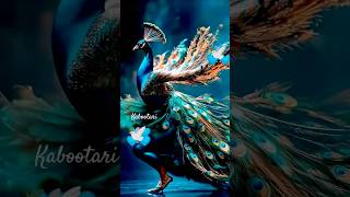 Kabootari 🕊️ Kithe chali chali ban ke trendingshorts haryanvisong shortstrendingharyanvidance [upl. by Aundrea369]