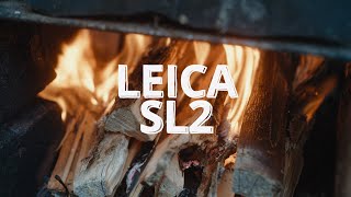 Leica SL2 amp Voigtländer Nokton 40mm f14 MC  Germany  Summer  Nature  Film  Handheld Footage [upl. by Armitage]