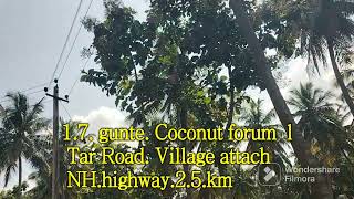 17gunte Coconut forum land for sale Malavalli Taluk [upl. by Norrek830]