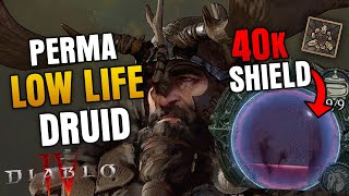 Low Life Crone Bulwark Build Guide  60k Effective HP T100 Farmer  Diablo 4 Druid Guide [upl. by Nymsaj]