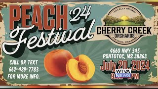 Interview Cherry Creek Orchards hosting peach festival in Pontotoc [upl. by Oirretna]