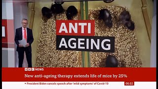 Scientists discover antiageing holy grail that can stop cancer and grey hair in its tracks Global [upl. by Kendrah]