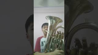 Euphonium The Lick euphonium brassband windinstrument [upl. by Ahsatel]