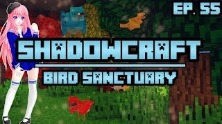 Bird Sanctuary  ShadowCraft  Ep 55 [upl. by Alphonse]