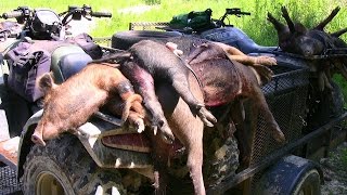 5 Hogs Exterminated Wild Hog Hunting [upl. by Nosyla]