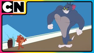 Tom amp Jerry 😺🐭 Just Cat amp Mouse Things  tomandjerry  Funny Cartoons  cnindia [upl. by Ihsakat479]